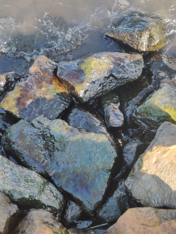 A closeup image of oil and oil sheen on rocks. 