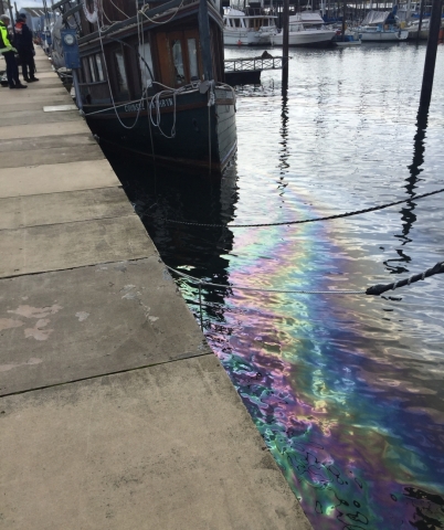 An oil sheen visible along a dock. 