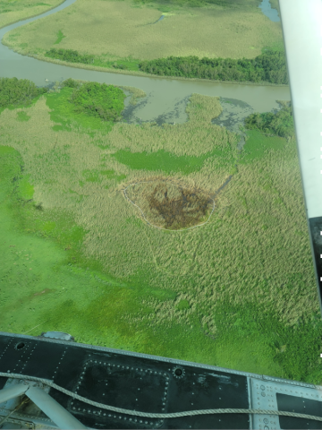 An aerial view of a burned marsh area.