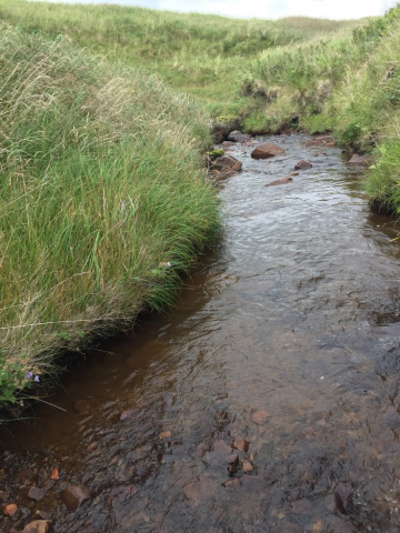 A creek with grassy hills along the shoreline.