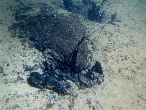 A natural tar seep on the ocean floor. 
