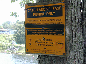 A fishing advisory sign.
