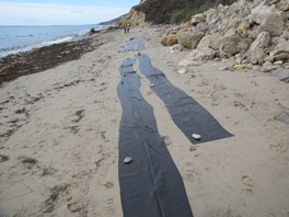Two black lines running down a sandy beach to simulate oil. 