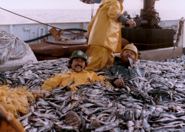 A group of men lying in a bed of fish on a ship.