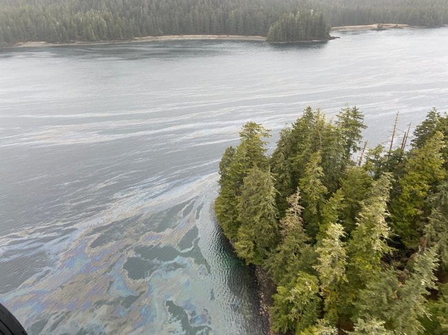An aerial view of an oil sheen in water.