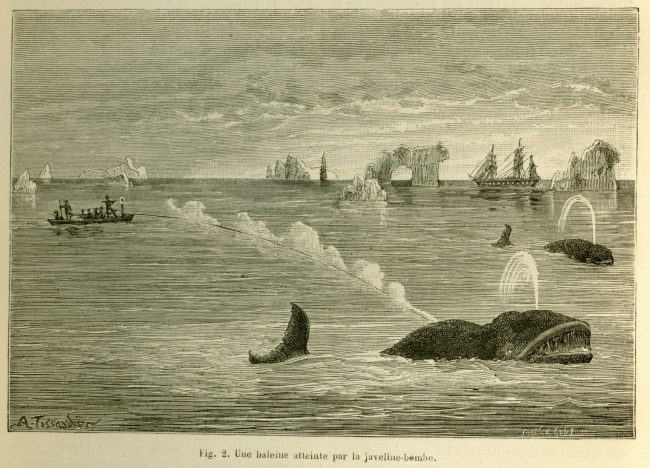 A black and white illustration of a whale being harpooned by a ship in the distance.