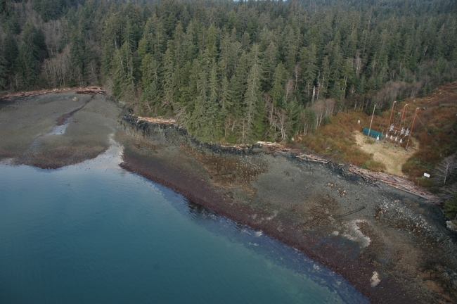 An aerial image of a shoreline lined with trees. 