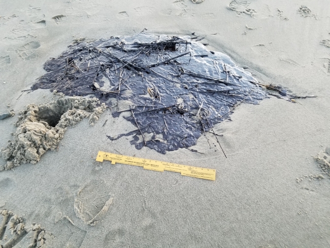 Oil on a beach. 