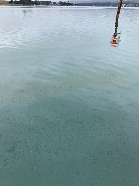 A sheen in water.