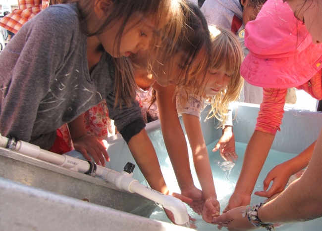 Children reach into a water tank. 