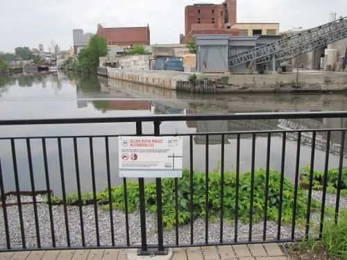 Sign posted on a fence; urban riverfront in background.