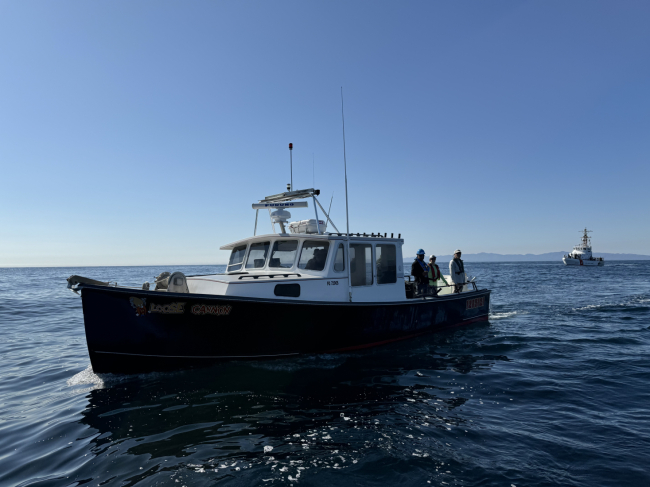 A vessel named "Loose Cannon"  at sea with researchers on board.