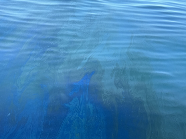 Oil sitting on the surface of the water column.