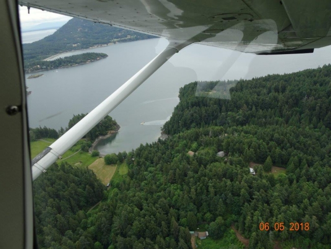 An aerial photo of a green shoreline with an oil sheen on that water. 