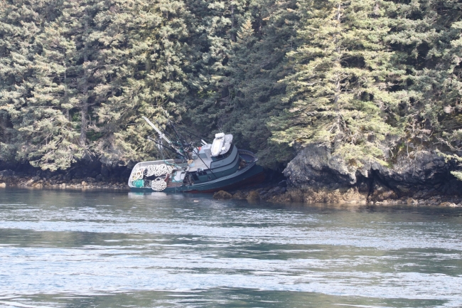 A grounded vessel on a tree-lined shoreline.