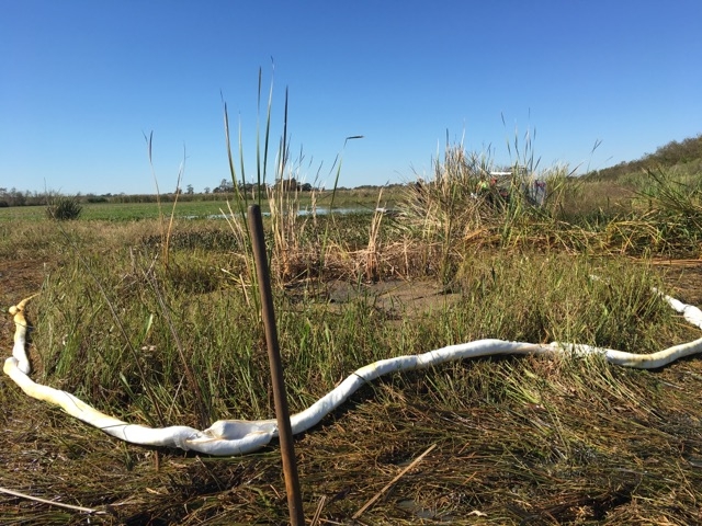 Pollution sorbent placed in a marsh. 