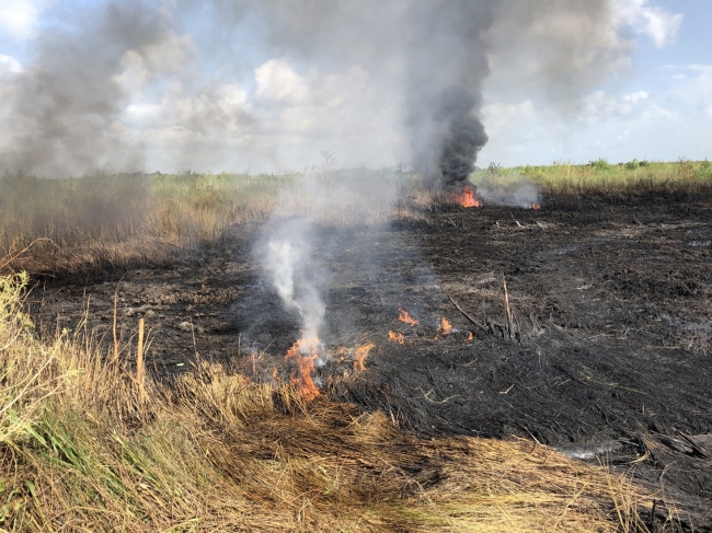 An oiled marsh on fire.