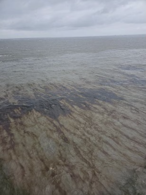 Aerial view of crude oil observed in Gulf of Mexico