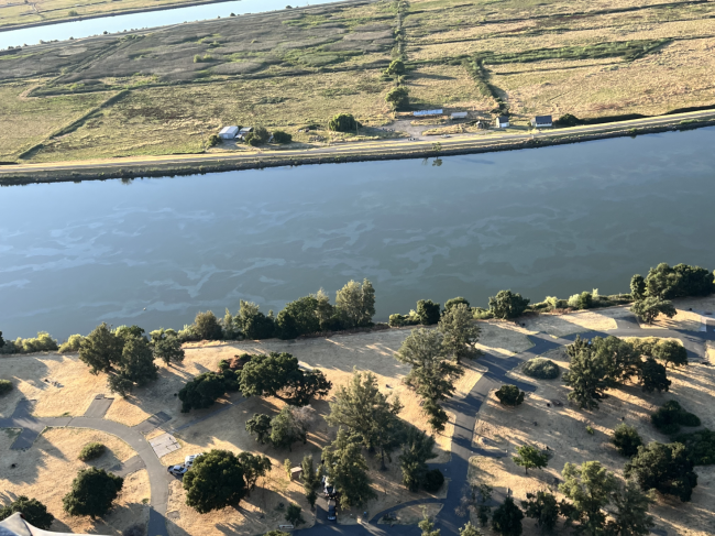 Aerial view of sheen scattered throughout portions of Threemile Slough, California.