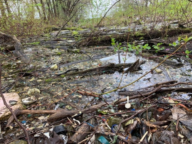 Marine debris mixed in with natural wood debris in a shallow forest pool.