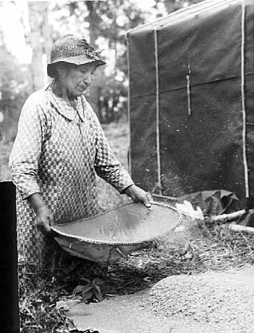A woman winnowing rice. 