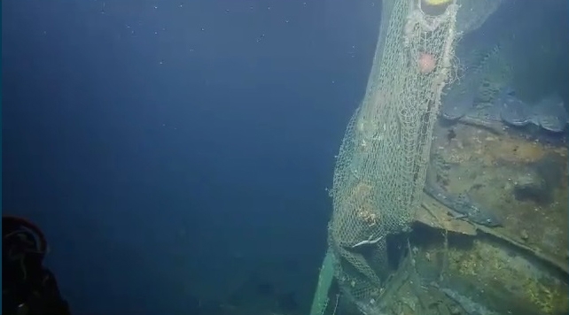 A fishing net, with some fish resting and others tangled, on the edge of the wreck of the Coast Trader.