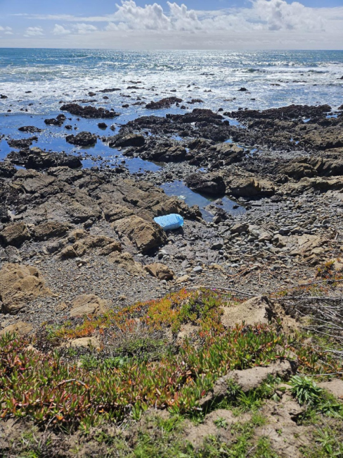 A container is seen washed ashore a rocky coastline in California.