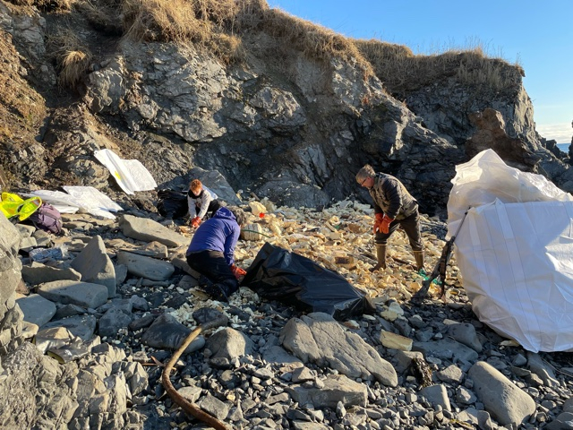 Several people cleaning up debris on a rocky beach.