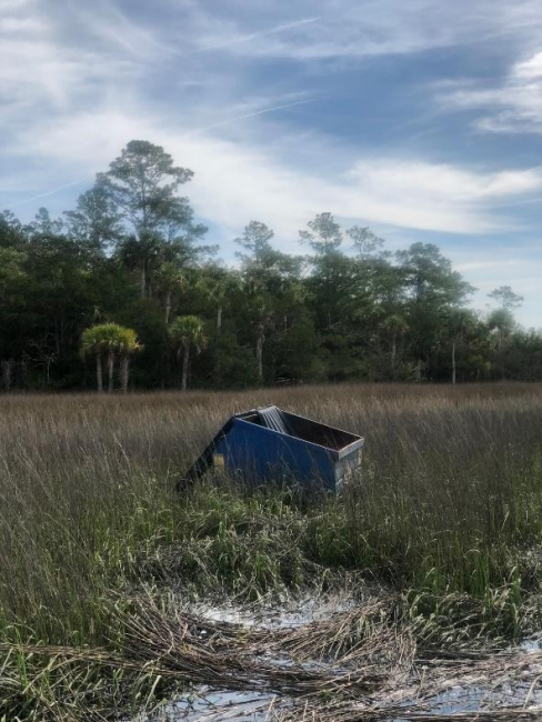 A dumpster in a marsh.