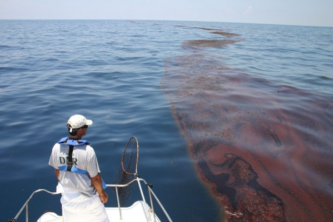 A person on a boat looking at an area of emulsified oil in the water.