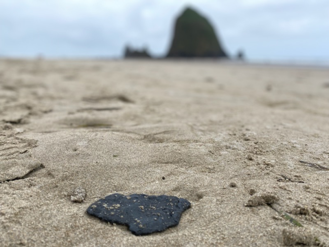 Tar patty observed on a beach.