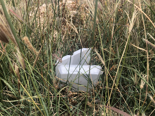 A discarded plastic foam takeout container sits in tall grass.