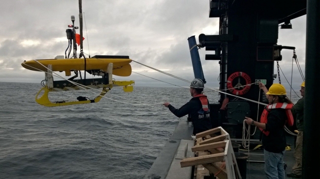 A crew on a ship lowering a wave glider into the water. 