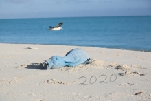 A toy on a beach with "2020" written in the sand.
