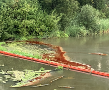 Cooking oil partially contained by an oil boom on a river with vegetated shores.