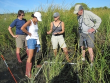 A group of people standing in a marsh. 