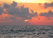 Ocean sunset. 