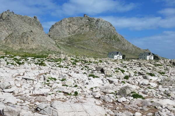 A rocky shoreline with two structures in the background. 