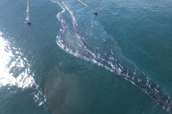 An aerial image of crude oil in the Pacific Ocean.
