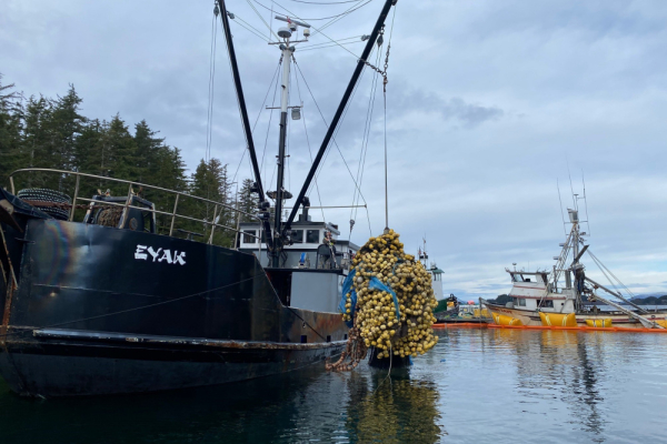 A vessel hauling a large pile of fish netting from the water.